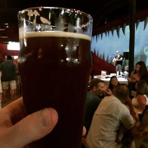 81bay-not-on-porpise-dunkel